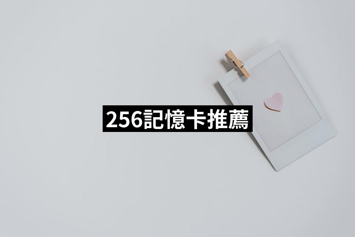 256 Memory Card