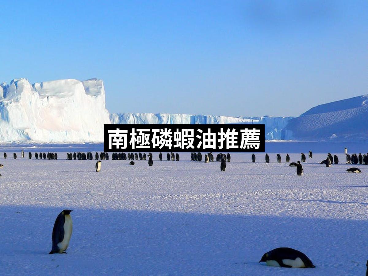 Antarctic