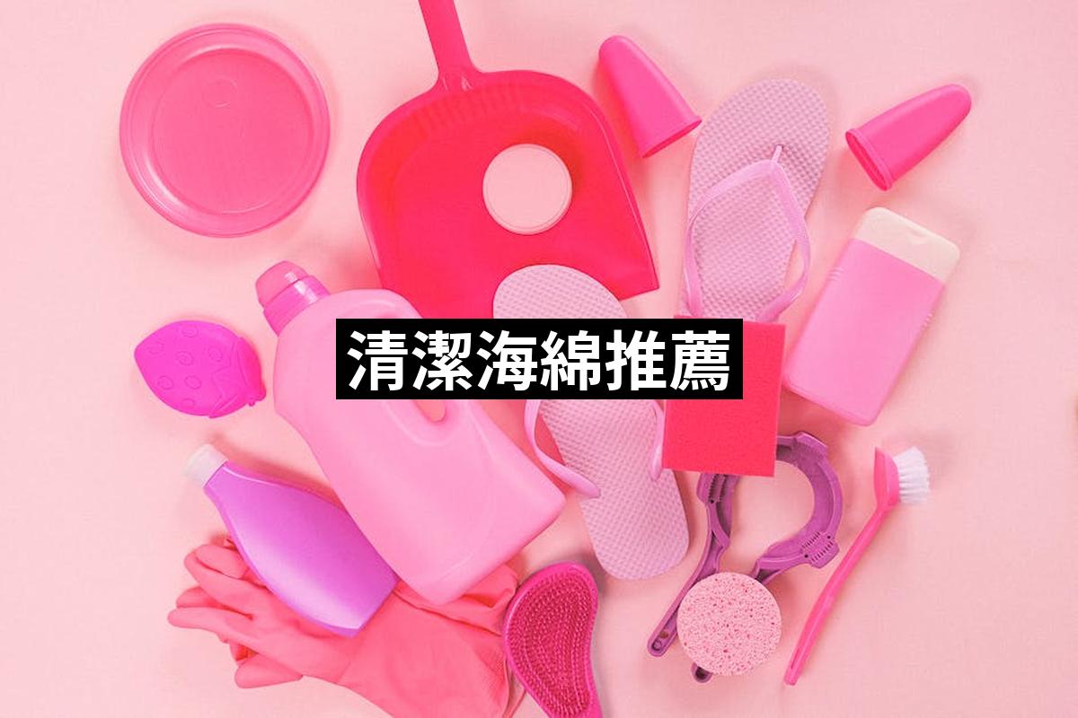 Cleansing Sponge