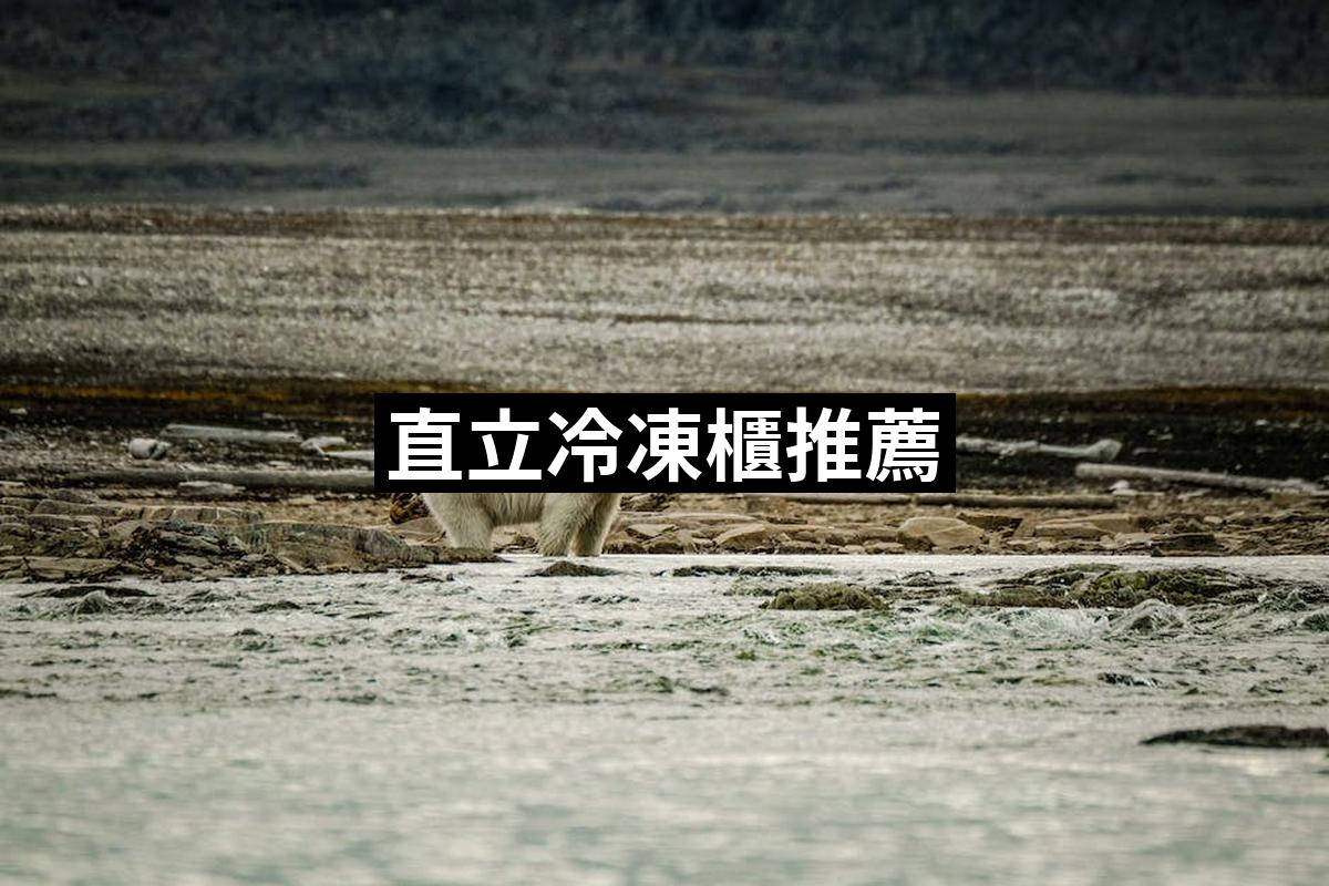 Endonal Frozen Cabinet