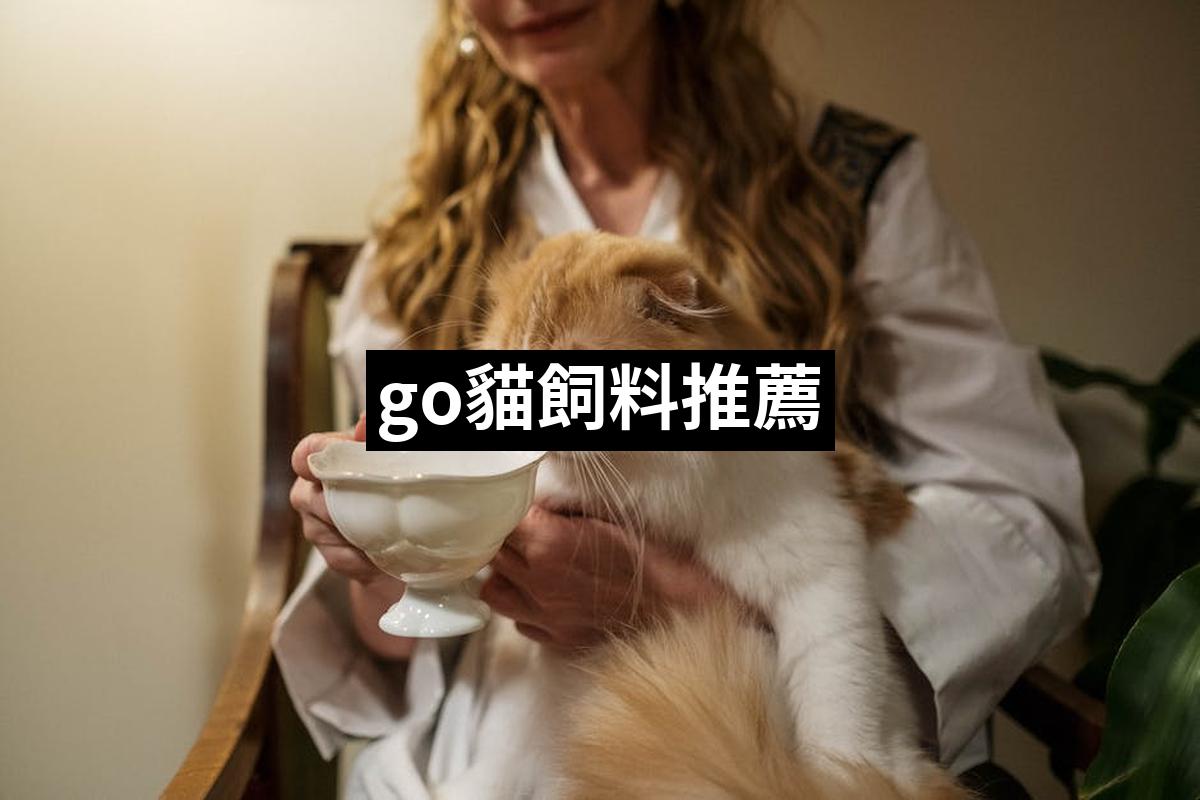 Go Cat Feed