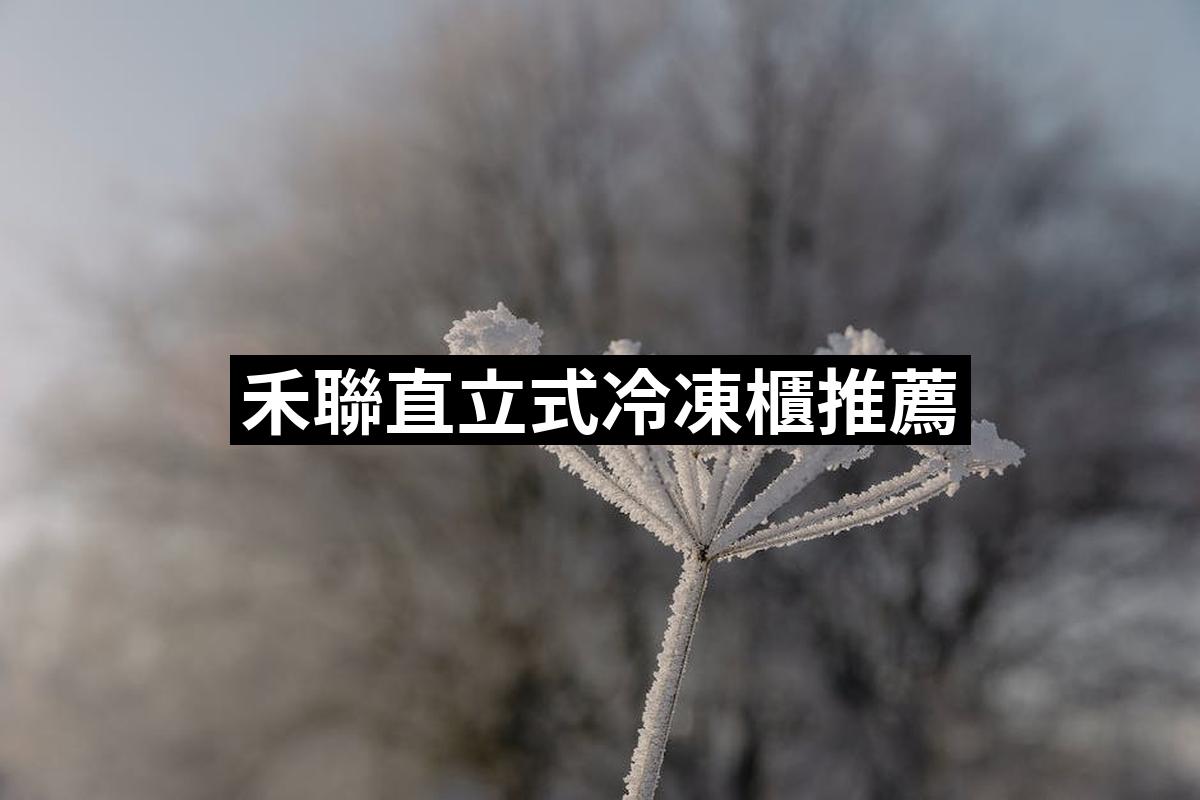 Helian Upright Frozen Cabinet