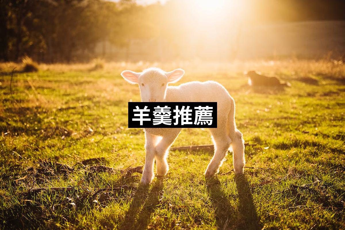 Lamb