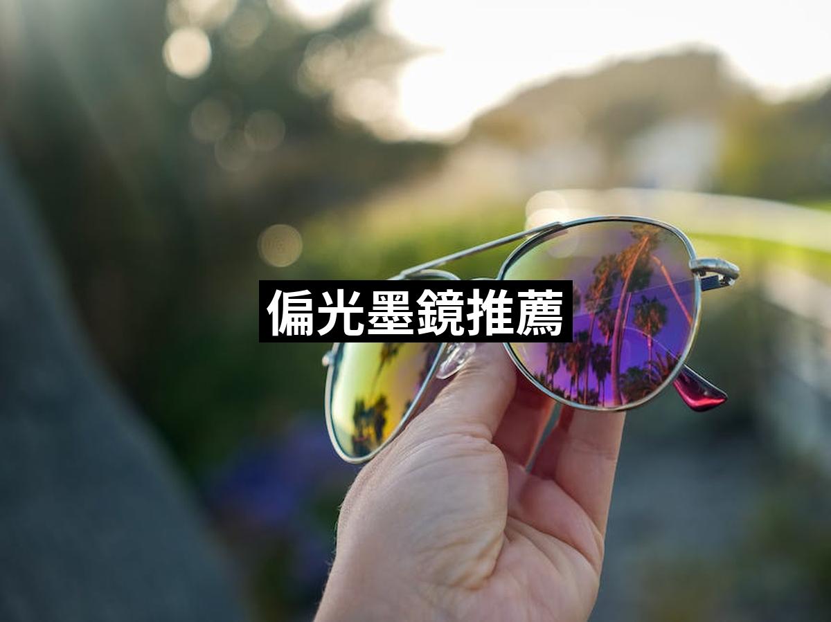 Polarized Sunglasses 1