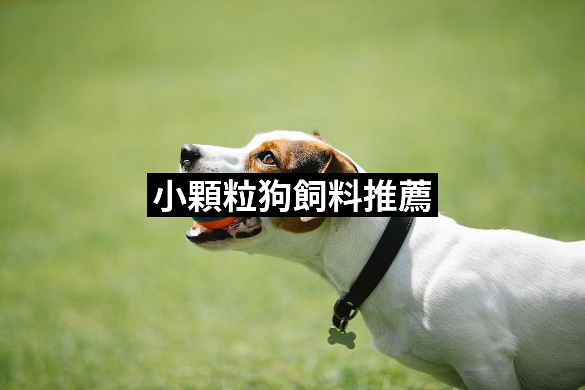 Small Granular Dog Feed